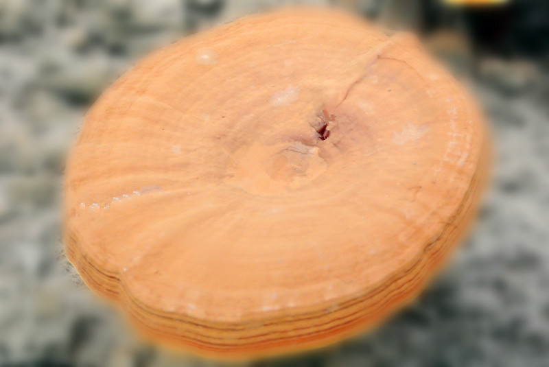 圖片1.png 圖片1.png